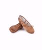 Picture of Satin Aspire Ballet Shoes Adult